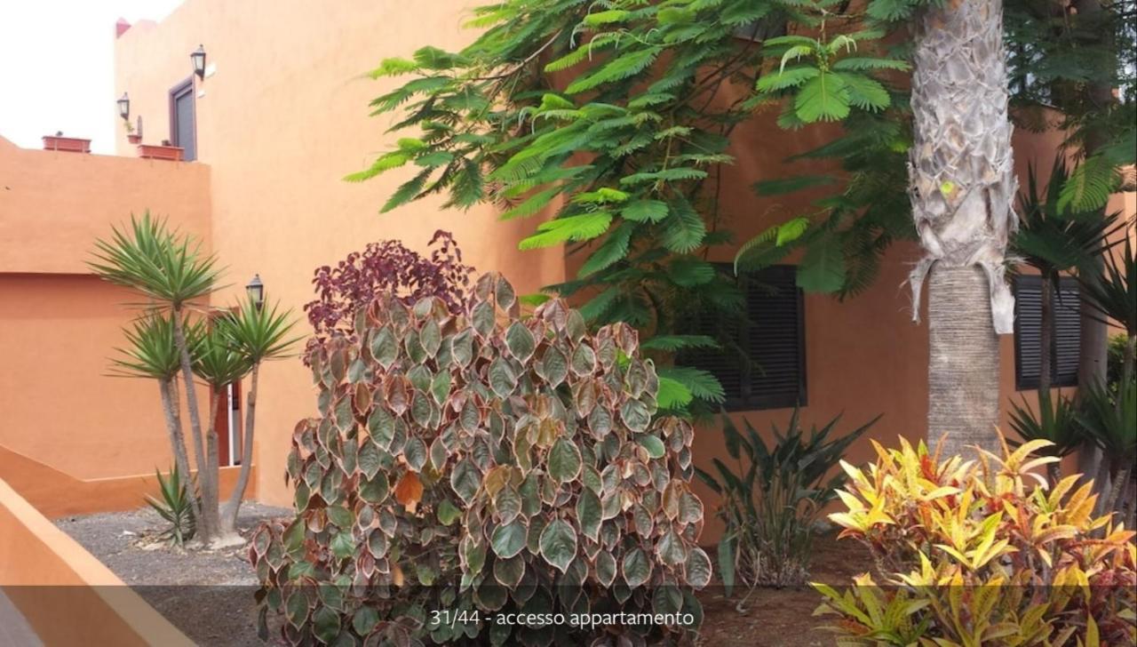 My Home In The Sun Corralejo Exterior foto